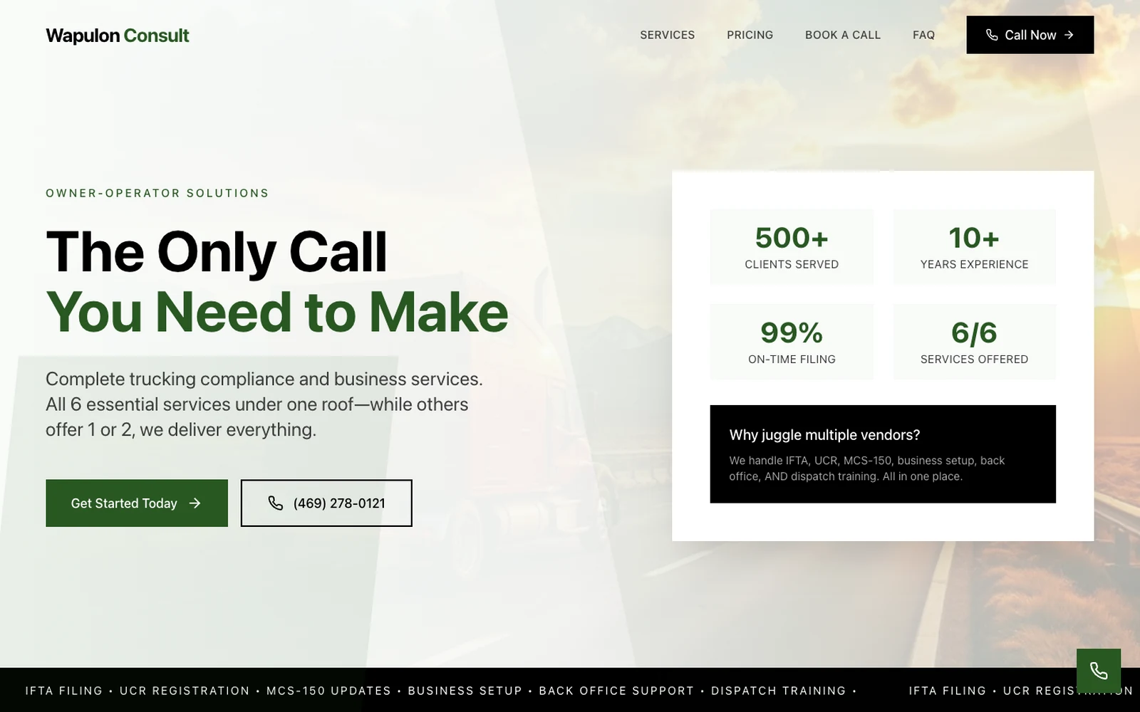 Wapulon Consult website preview